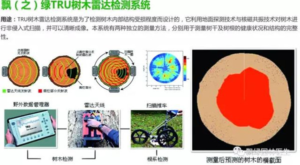 树木衰弱时有速效救心丸吗?(图一) 树木衰弱时有速效救心丸吗?(图一)