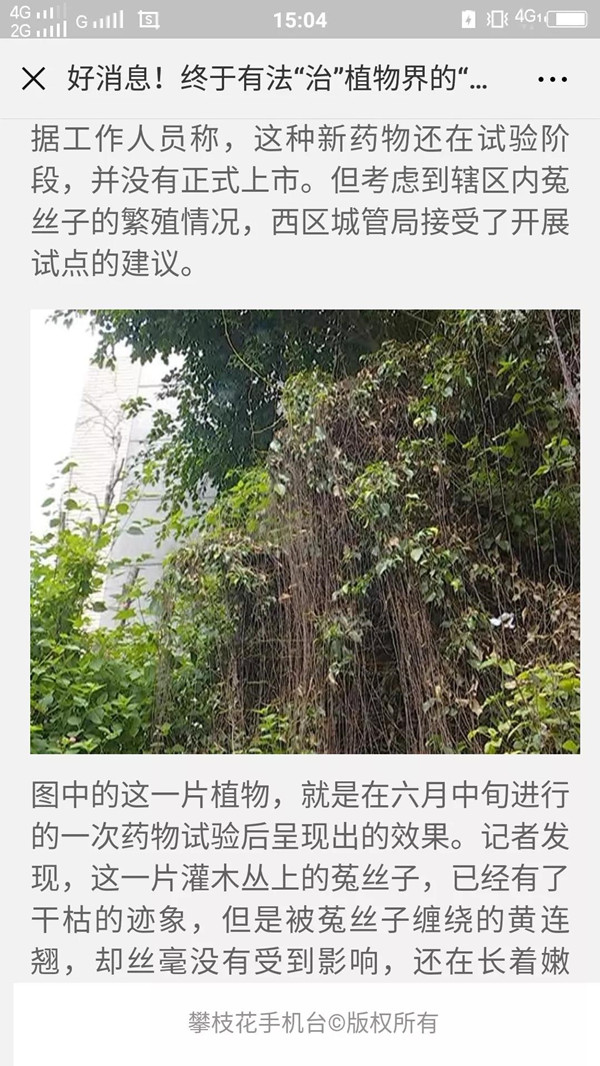 植物界“吸血鬼”你知道多少?一场让你意想不到的技术创新!(图十) 植物界“吸血鬼”你知道多少?一场让你意想不到的技术创新!(图十)