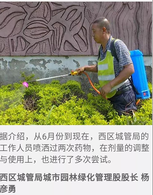 植物界“吸血鬼”你知道多少?一场让你意想不到的技术创新!(图十一)