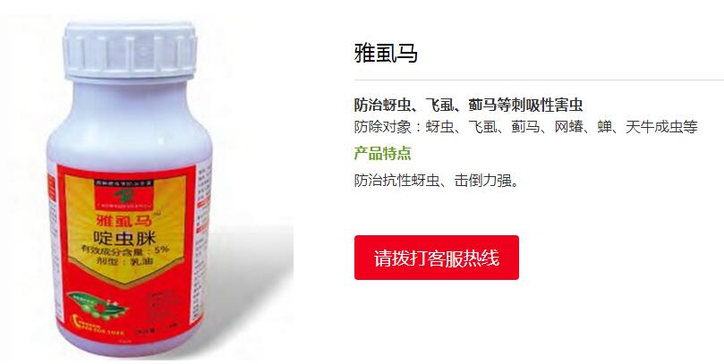 园林蚜虫防治措施 园林蚜虫防治措施